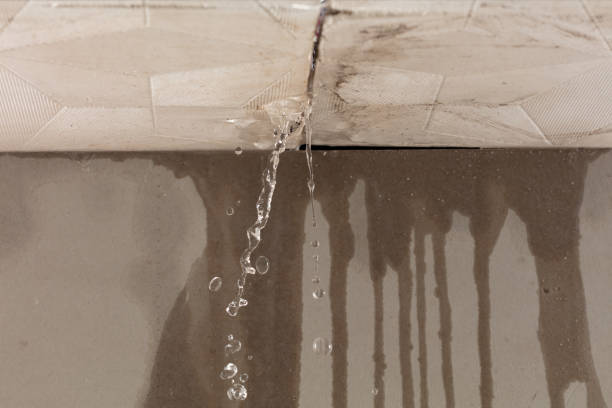 Professional Water Damage Inspection technician working in George, IA